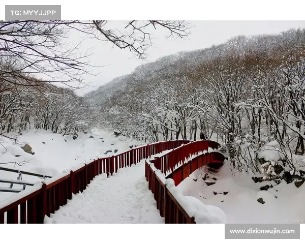 冬日湖畔诗意之旅五大必游景点 寻找雪景与静谧的完美邂逅 冬日湖畔诗意之旅五大必游景点 寻找雪景与静谧的完美邂逅