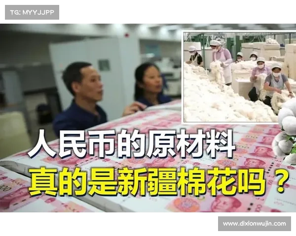 人民币主要原材料来源及其经济影响的五大关键因素分析 人民币主要原材料来源及其经济影响的五大关键因素分析