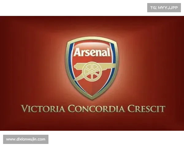 从阿森纳队徽红色象征意义解读球队勇气与历史传承之光芒璀灿辉映