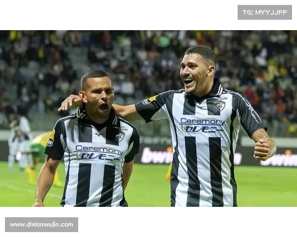 波尔蒂足球俱乐部历史沿革与名称变迁的深度探析